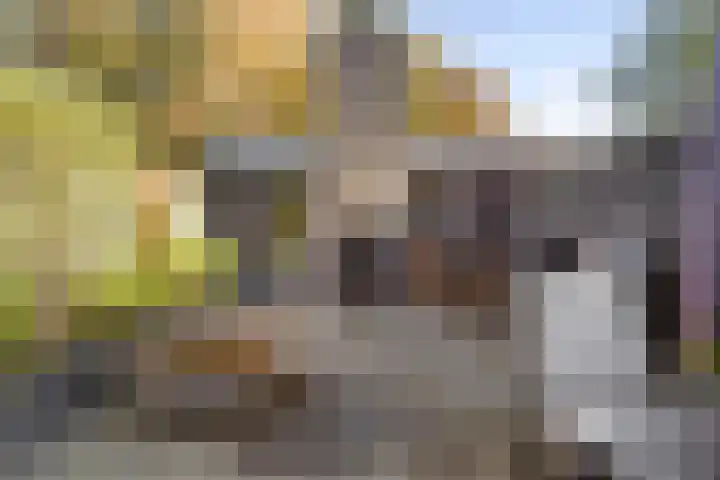 De Schans 17 Heeswijk-Dinther thumbnail 5