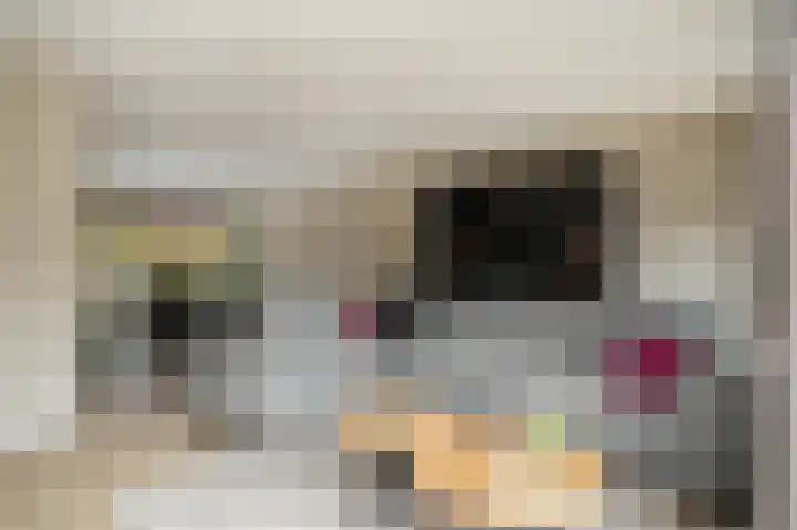 De Schans 2 Ameide thumbnail 11