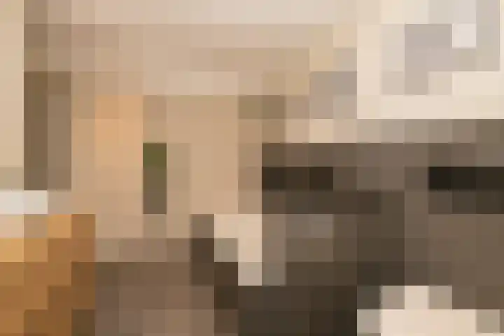 De Schans 2 Ameide thumbnail 13