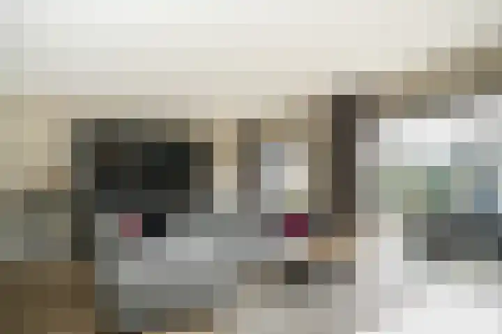 De Schans 2 Ameide thumbnail 13
