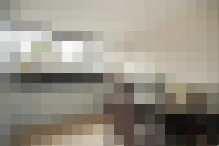 De Schans 2 Ameide thumbnail 14