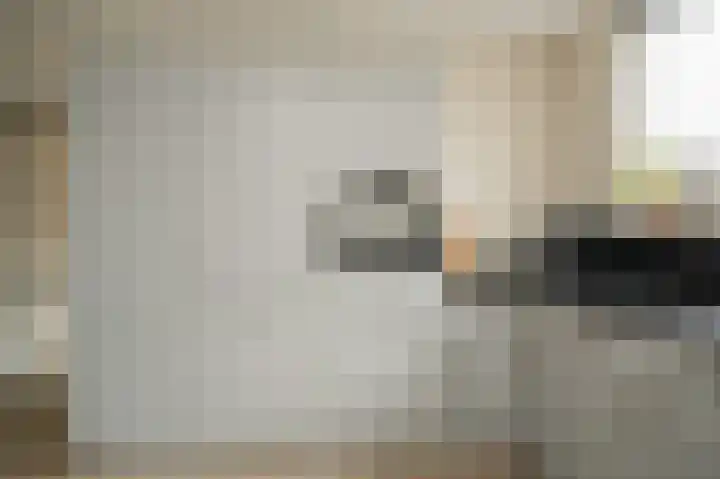 De Schans 2 Ameide thumbnail 15