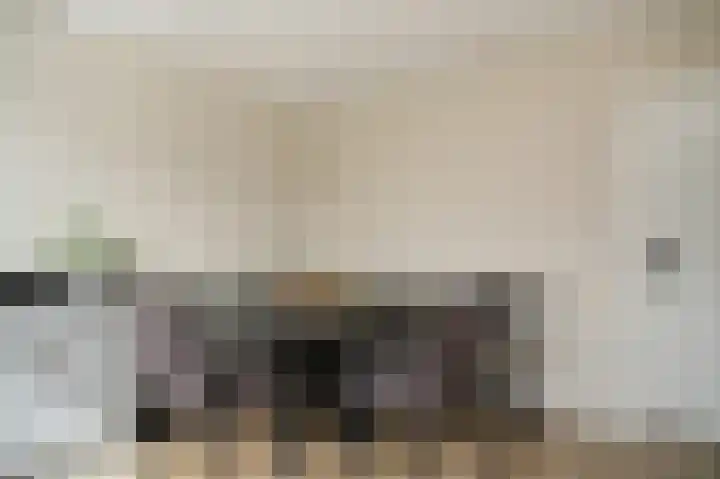 De Schans 2 Ameide thumbnail 17