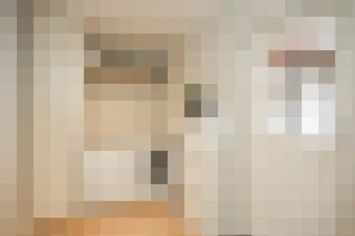De Schans 2 Ameide thumbnail 18