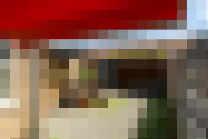 De Schans 2 Ameide thumbnail 22