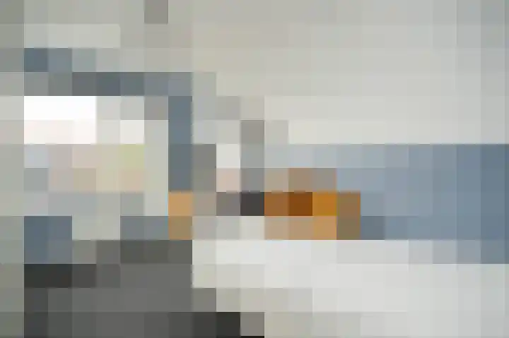 De Schans 2 Ameide thumbnail 24