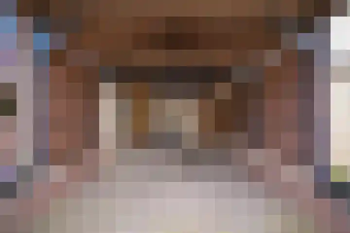 De Schans 2 Ameide thumbnail 33