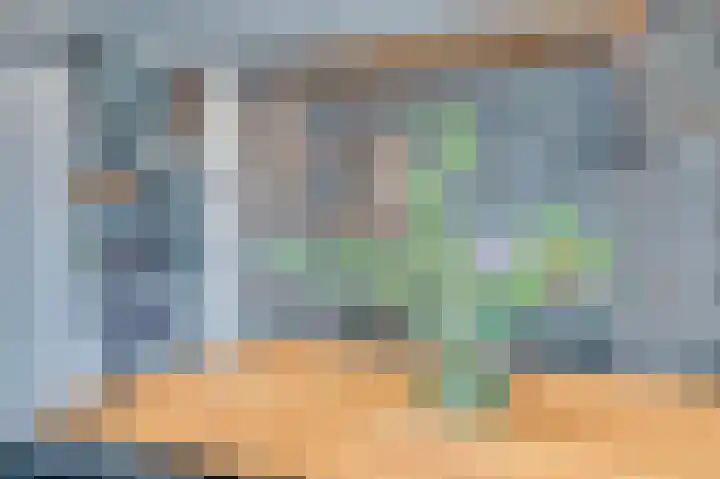 De Schans 2 Ameide thumbnail 34