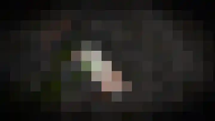 De Schans 2 Ameide thumbnail 37