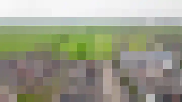 De Schans 2 Ameide thumbnail 38