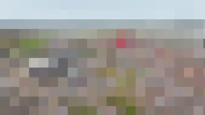 De Schans 2 Ameide thumbnail 39