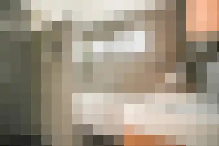 De Schans 2 Ameide thumbnail 4