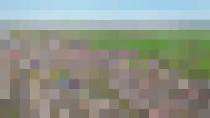 De Schans 2 Ameide thumbnail 40