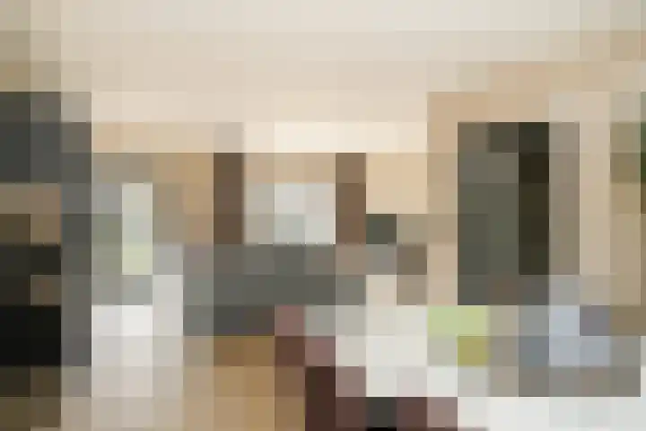 De Schans 2 Ameide thumbnail 7