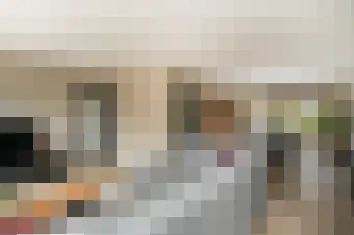 De Schans 2 Ameide thumbnail 8