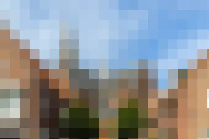 De Schans 2 Maassluis thumbnail 30