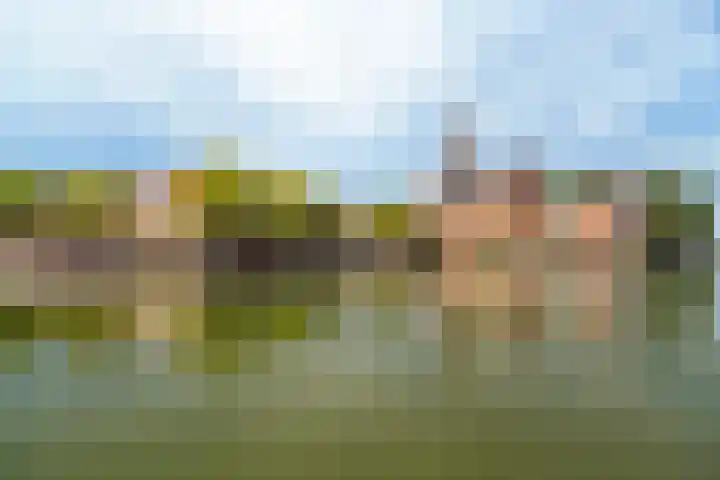 De Schans 2 Maassluis thumbnail 38