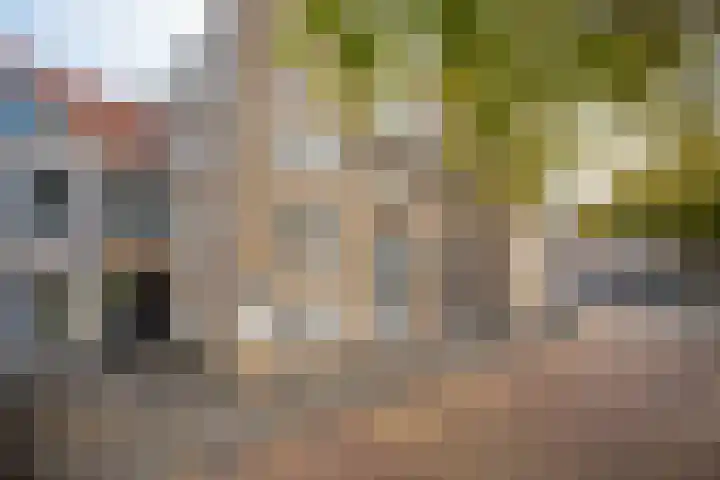 De Schans 31 Maassluis thumbnail 29