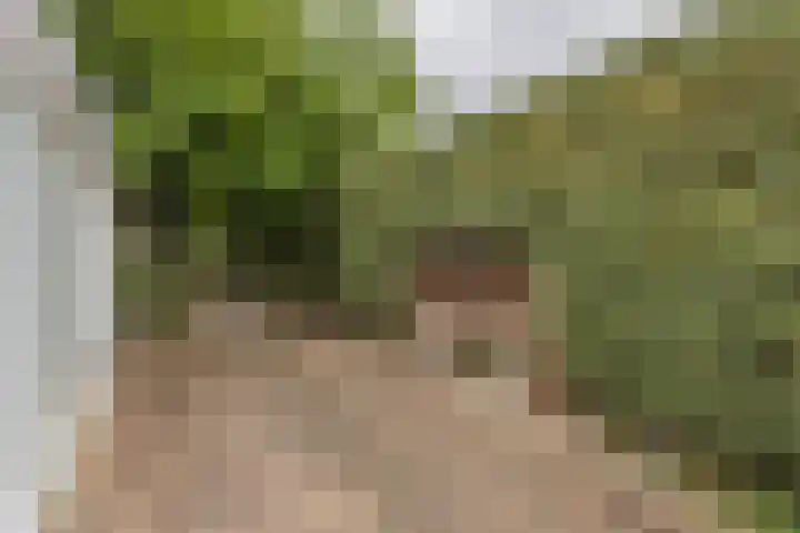 De Schans 50 Hoornaar thumbnail 13