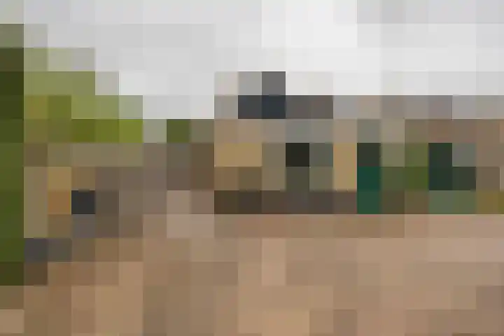 De Schans 50 Hoornaar thumbnail 14