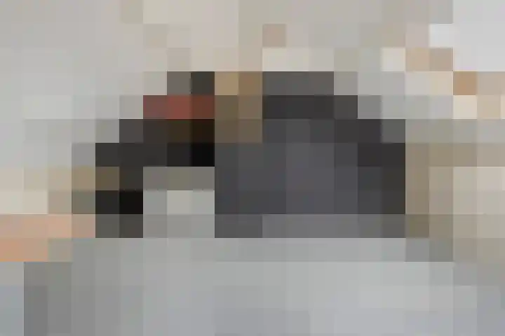 De Schans 50 Hoornaar thumbnail 26