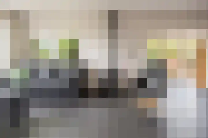 De Schans 50 Hoornaar thumbnail 5