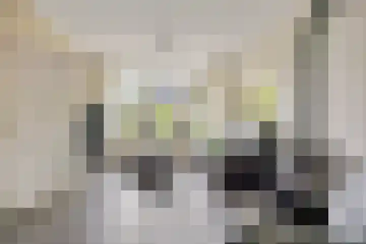 De Schans 50 Hoornaar thumbnail 6