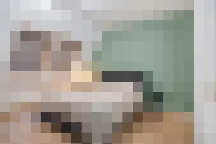De Schans 54 Haps thumbnail 13