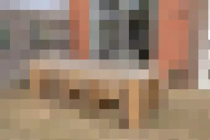 De Schans 54 Haps thumbnail 21