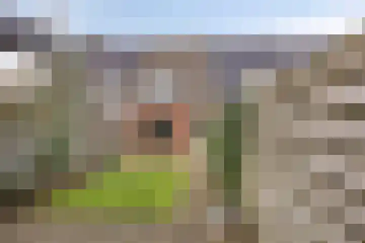 De Schans 54 Haps thumbnail 22