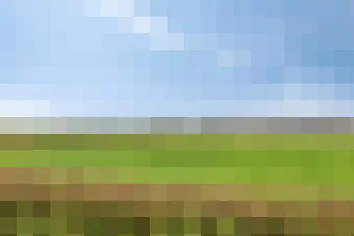 De Schans 54 Haps thumbnail 23