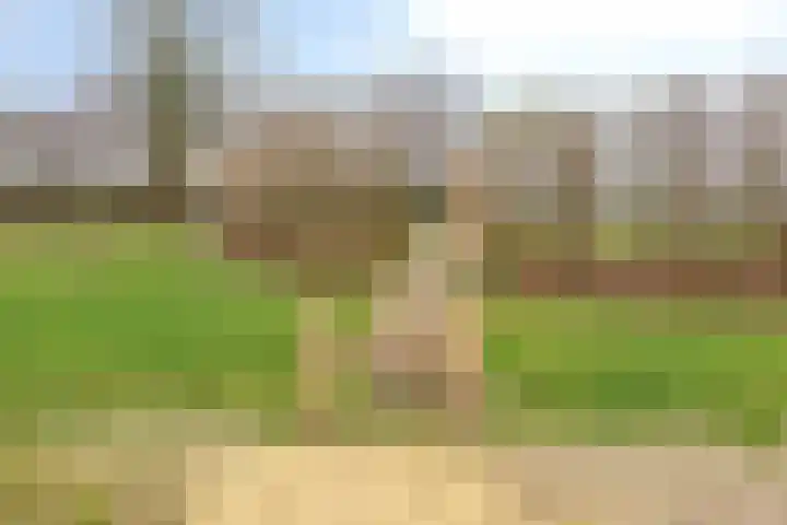 De Schans 54 Haps thumbnail 24