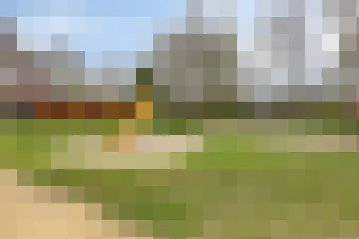 De Schans 54 Haps thumbnail 25