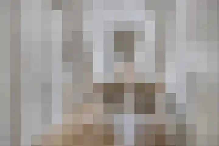 De Schans 54 Haps thumbnail 4