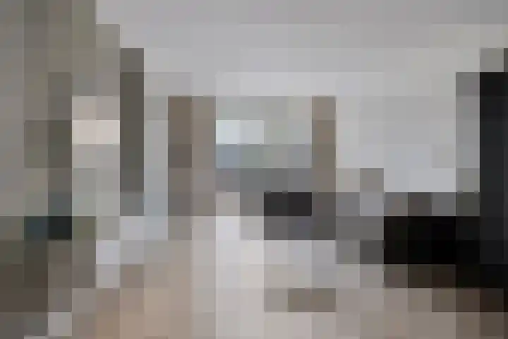 De Schans 54 Haps thumbnail 8