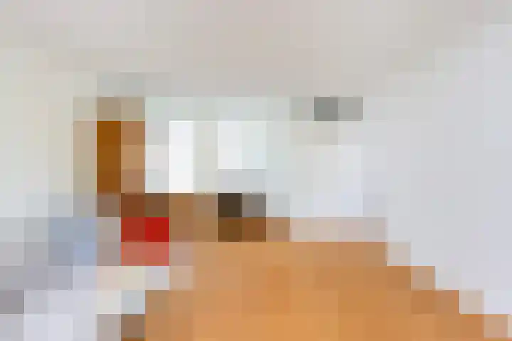 De Schans 6 Maassluis thumbnail 15