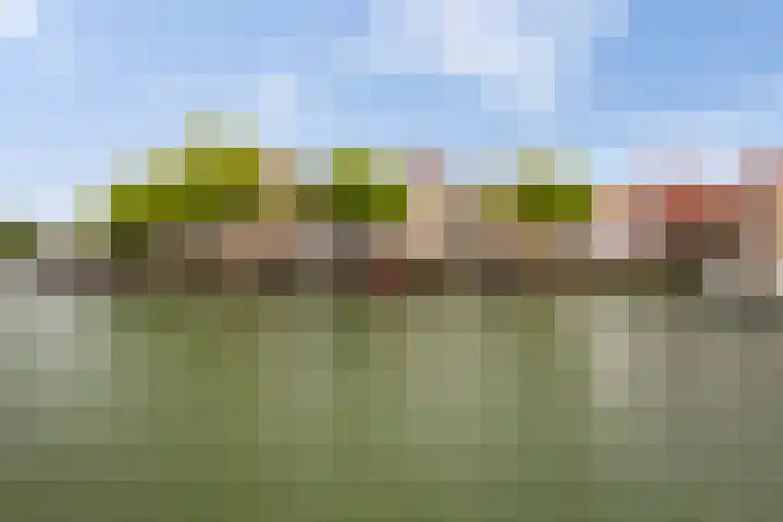 De Schans 6 Maassluis thumbnail 41