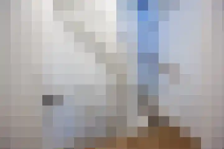 De Schans 66 Haps thumbnail 15