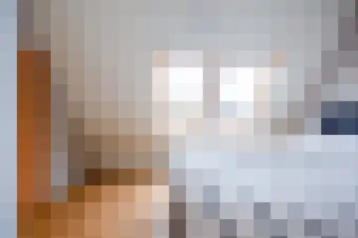 De Schans 66 Haps thumbnail 18