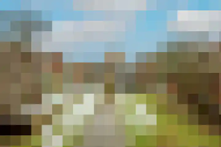De Schans 66 Haps thumbnail 30
