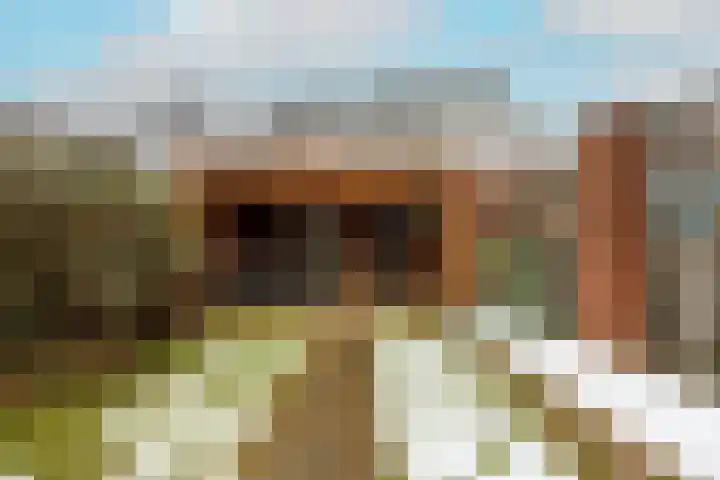 De Schans 66 Haps thumbnail 31