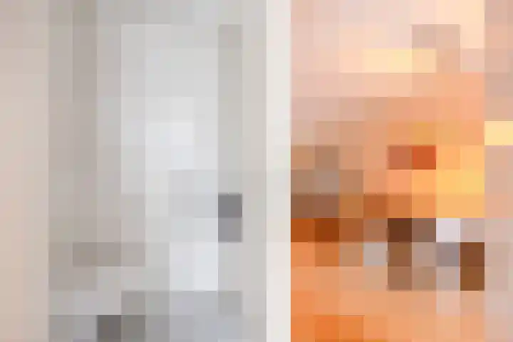 De Schans 66 Haps thumbnail 4