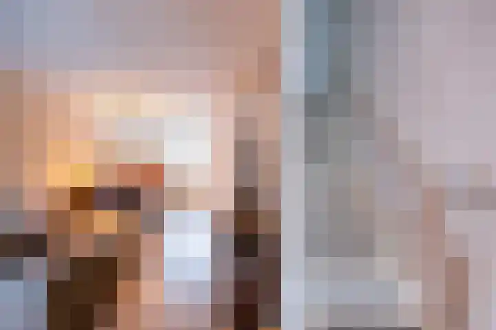 De Schans 66 Haps thumbnail 6