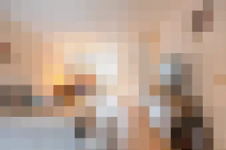 De Schans 66 Haps thumbnail 8
