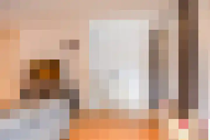 De Schans 66 Haps thumbnail 9