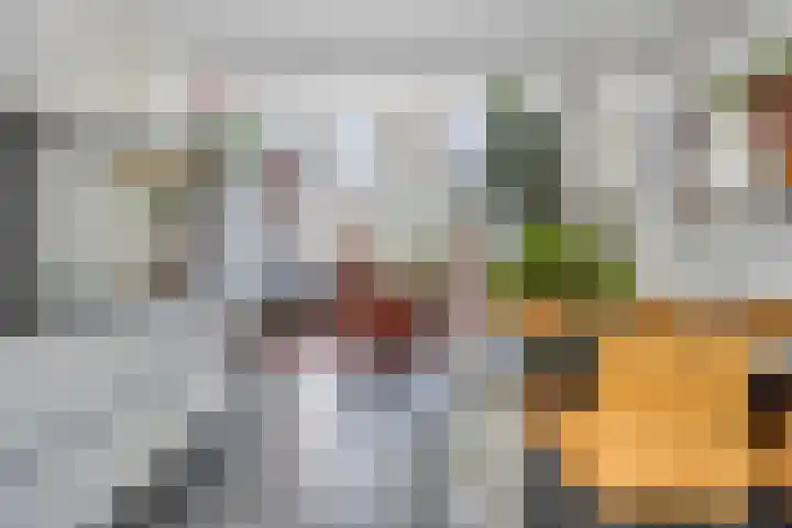 De Scheifelaar 307 Veghel thumbnail 10