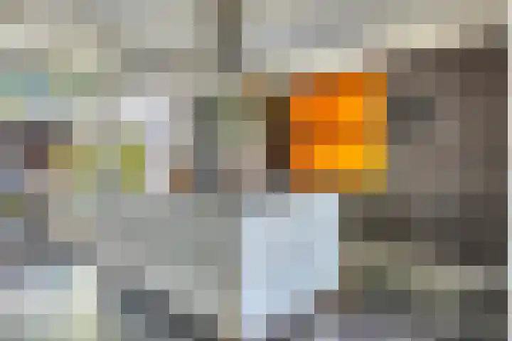 De Scheifelaar 307 Veghel thumbnail 12
