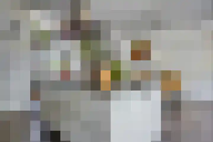 De Scheifelaar 307 Veghel thumbnail 15