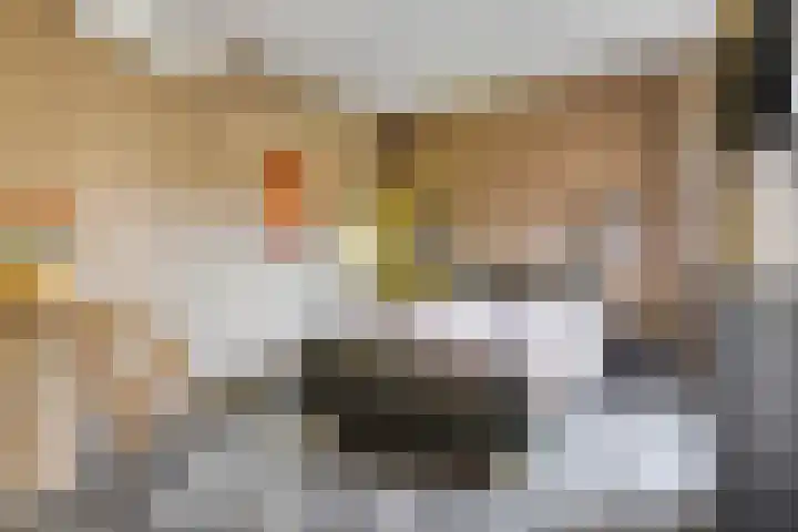De Scheifelaar 307 Veghel thumbnail 20