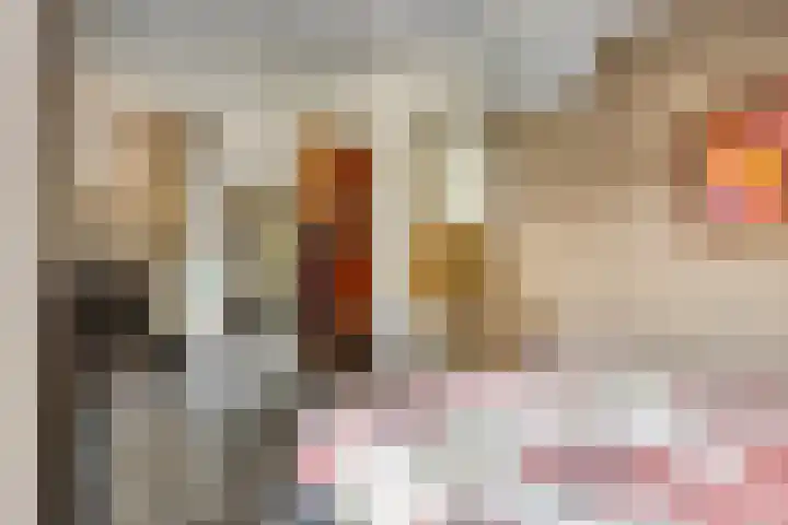 De Scheifelaar 307 Veghel thumbnail 21